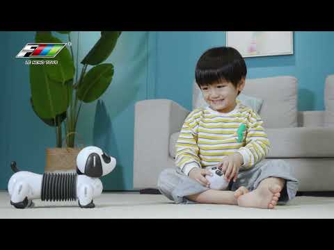 k22 Follow The Dachshund