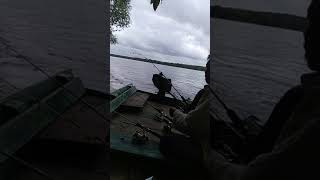 preview picture of video 'Mancing udang galah Kuala Buayan'