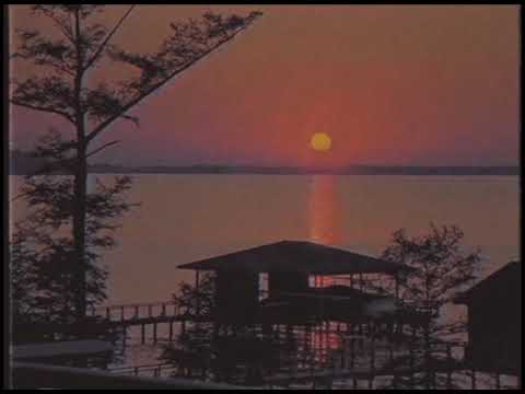 🢩 VHS VIDEO AESTHETIC RETRO.🢨