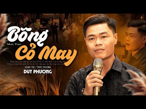 Bông Cỏ May - Duy Phương | Nhạc Vàng Xưa MV