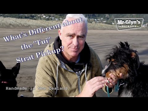 Mr Glyns Pickups "Tui" Strat pickup explained