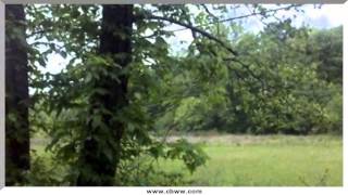 preview picture of video '711 Rafter Rd, Tellico Plains, TN 37385'