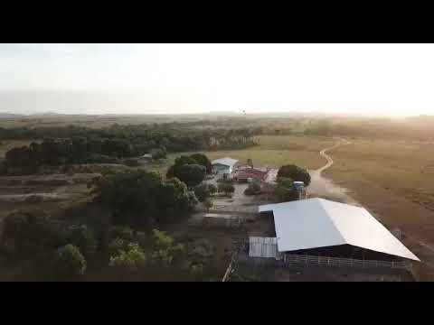Fazenda em Roraima, Bonfim de 1109 hectares 
