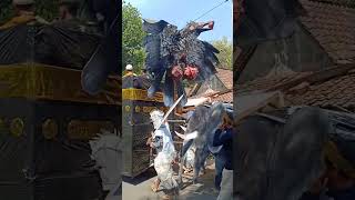 Download lagu Burung Ababil Vs Pasukan Gajah mp3 Download lagu Burung Ababil Vs Pasukan Gajah mp3