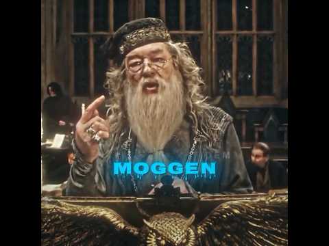 Fresh D Sigma wie nie #harrypotterfan #harrypotterfanclub #comedy #brainrot