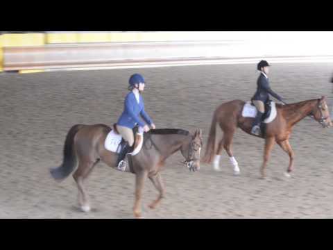 NOVICE YOUTH HUNTER UNDER SADDLE. IAF 6802