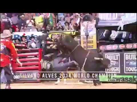 Silvano Alves and SweetPro's Bruiser: 3-Time World Champions
