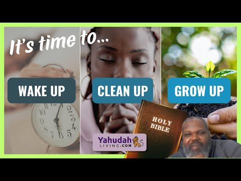 Wake Up, Clean Up, Grow Up