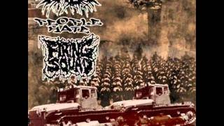 FIRING SQUAD - Polluted meadows