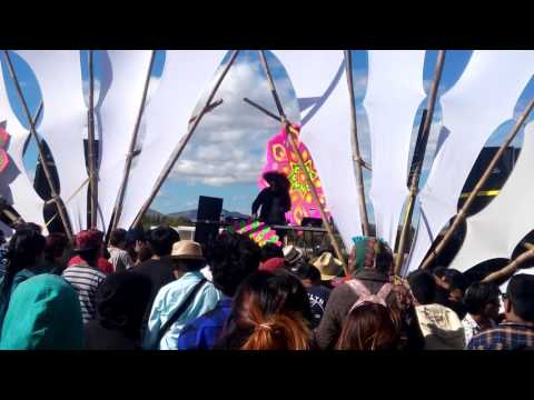 Anyer quantum, Pangea heart frecuency, puebla mexico