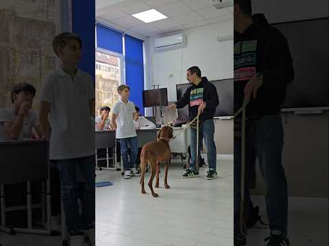 Un proiect de suflet prin care educam copiii, dar ne si distram 😁 Interactiv inseamna si placut 😊