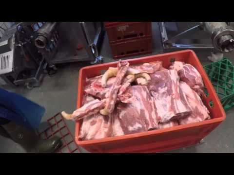 Fra Grise I Det Fri Til Mad Vi Kan Li'