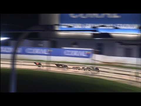 2017 CORAL CHAMPION STAKES - 2ND SEMI - T5 CASTELL HENRY