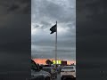 Independenceday Music Pakistan Rawvideos Creatorsearchinsights