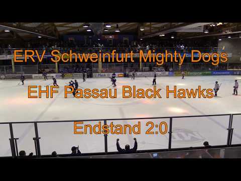 ERV Schweinfurt Mighty Dogs - EHF Passau Black Hawks 24.2.2019