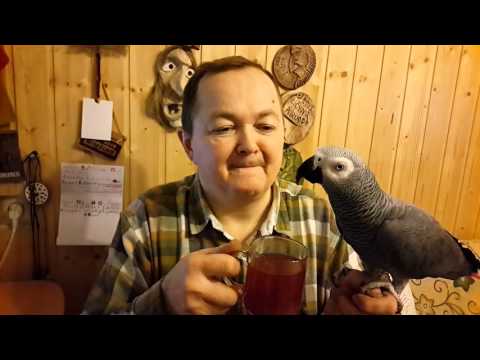 GARDI AVIECIU ARBATYTE