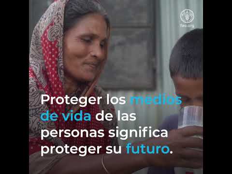Predecir las crisis esel futuro de la ayuda humanitaria