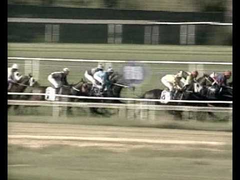 Horse Chestnut - A Champion Emerges Part 03