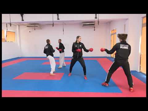 ZURNAL 2021 04 24 PRILOG KARATE