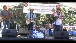 Take a Look at my Heart - The Blue Merles - Chico, Ca.