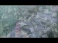Dissidenten - Memory Of The Waters