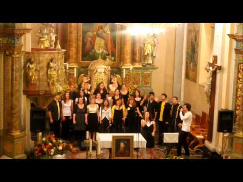 Bee Geesus- I can see clearly now