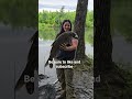 Nice Buffalo Caught Her First One