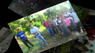 Primer video de Resultados de la UT del Mayab