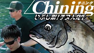 【釣り】チヌ大発生！！ルアーで狙う