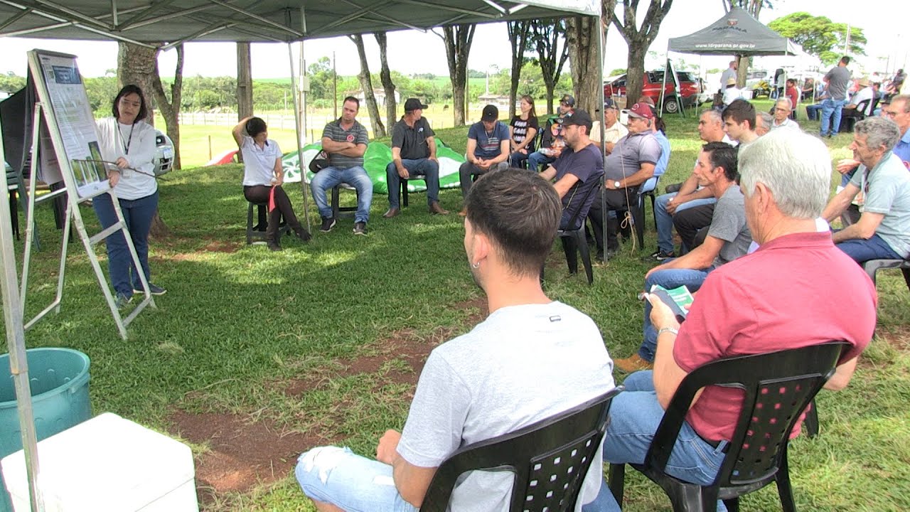 Estratégias de controle da soja reduzem as aplicações de defensivos