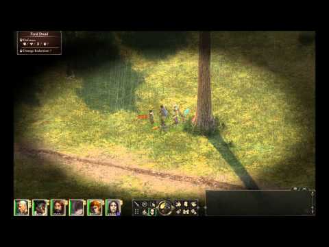 Pillars of Eternity. Feral Druids.