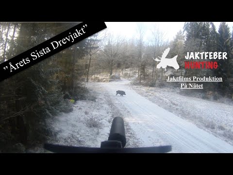 JAKTFEBER (Sista Drevjakten 2018 Avslutas På Bästa Sätt)