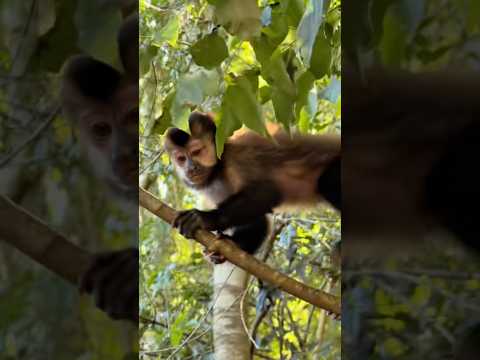 Ya sabes a quien mandárselo 😂 #humor #hermanos