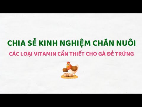 , title : '"Kinh Nghiệm Chăn Nuôi" - 5 LOẠI VITAMIN CẦN THIẾT ĐỂ TĂNG NĂNG SUẤT ĐẺ TRỨNG CHO GÀ'