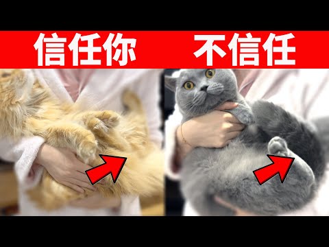 外出 意思