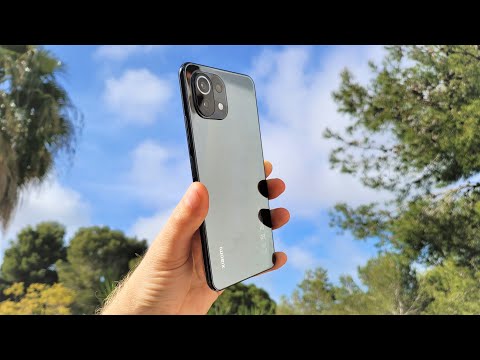 Mi 11 Lite Camera Review EXACTLY What To Expect!