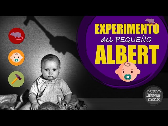 Vídeo relacionado con El experimento del mejor amigo (Lecciones de química 5) (Infantil y Juvenil)