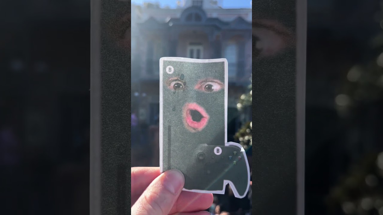 Breadbox’s Day at Disneyland 😎🎢