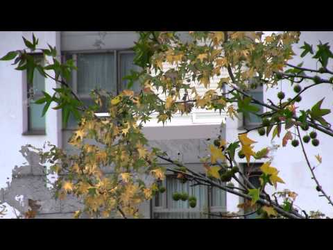 download lagu mp3 mp4 Zurekin Bilbao, download lagu Zurekin Bilbao gratis, unduh video klip Zurekin Bilbao