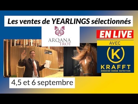 LES VENTES DE YEARLINGS ARQANA 2019 - J2
