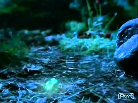 Perfume Britney Spears Fantasy Midnight - Gardens Perfums