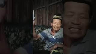 Download lagu KAPSUL HERBAL UNTUK STROKE - Gabooster Manjur Klik: https://gabooster.id mp3