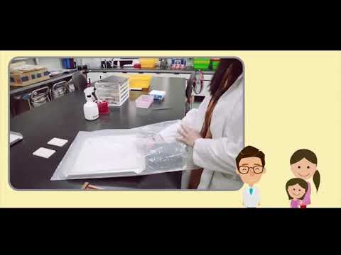 高品質種子生產 (英文版)