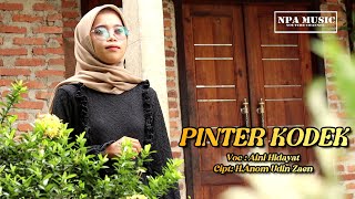 Download lagu PINTER KODEK - Aini Hidayat mp3