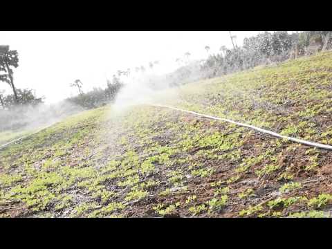 Drip Irrigations