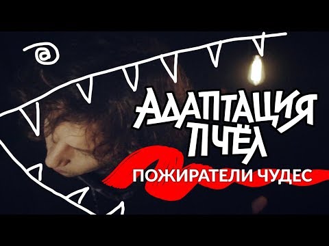 Пожиратели Чудес :: Адаптация Пчёл | Beesadaptic