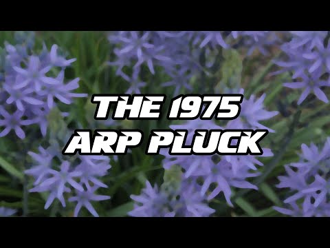Tutorial #82 | The 1975 "I'm In Love With You" Arp Pluck