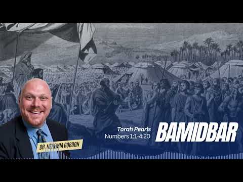 Torah Pearls #34 – Bamidbar (Numbers 1:1-4:20) - NehemiasWall.com
