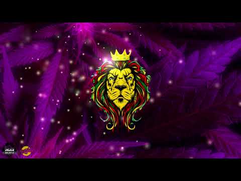 Brother Culture & Reggae Roast - Big Soundsystem (64-MDN Jungle Bootleg)