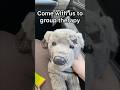 Group Therapy Sky Helped A Lot Essa Autism Plushie